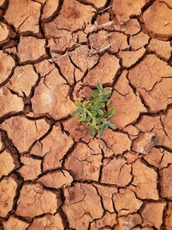 #ClimateConnect: Η κλιματική αλλαγή μας αφορά όλους και ήρθε η στιγμή να μιλήσουμε γι’ αυτό