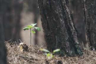 Go nature, Go carton με τις χάρτινες συσκευασίες της Tetra Pak® για έναν κόσμο όπου τίποτα δεν περισσεύει και όλα είναι χρήσιμα