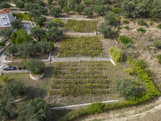 Μια εντυπωσιακή βίλα στην Κέρκυρα δείχνει πώς είναι η κλασική διακόσμηση του σήμερα