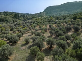 Μια εντυπωσιακή βίλα στην Κέρκυρα δείχνει πώς είναι η κλασική διακόσμηση του σήμερα