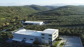 Terra Creta: Το αυθεντικό εξαιρετικό παρθένο ελαιόλαδο, όπως πρέπει να είναι