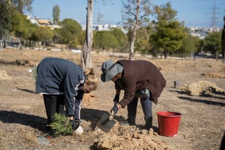 5η Πανελλήνια Εθελοντική Φύτευση: 1000 δενδρύλλια από το φυσικό μεταλλικό νερό Βίκος και τη We4all