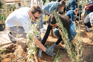 H Αθήνα έχει πλέον το δικό της micro forest χάρη στη L’ Oreal Hellas