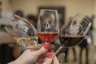 Peloponnese Wine Festival Athens 2025: Πελοποννησιακός αμπελώνας με το βλέμμα στο μέλλον