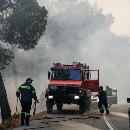 Φωτιά στην Εύβοια: Σε κατάσταση έκτακτης ανάγκης ο δήμος Διρφύων - Μεσσαπίων