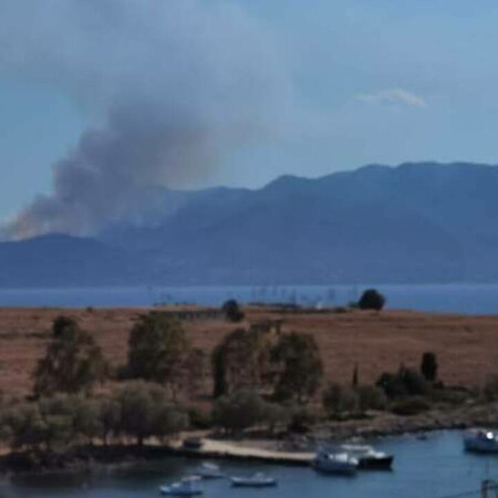 Φωτιά στα Μέθανα: Ενισχύθηκαν οι πυροσβεστικές δυνάμεις- Κάηκε ένα σπίτι