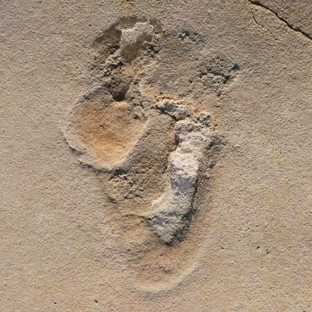 New Research Suggests Human-Like Footprints in Crete Date to 6.05 Million Years Ago