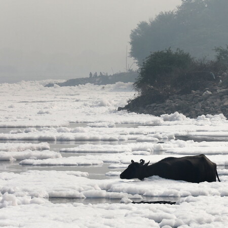 Toxic foam coats sacred river in India as Hindu devotees bathe in its waters