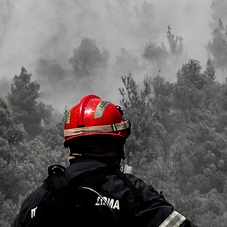 Πρόσληψη 500 δασοκομάντος- Δημιουργούνται ειδικές μονάδες δασικών επιχειρήσεων σε 6 πόλεις