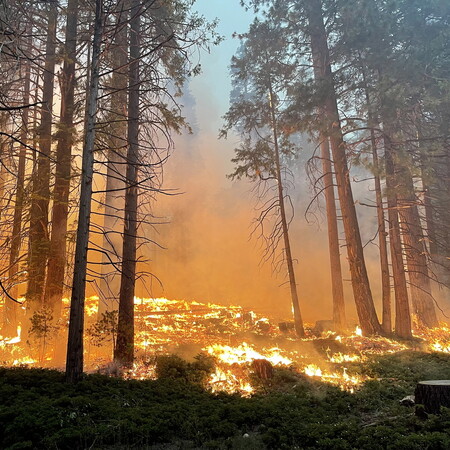 Καλύτερη η εικόνα της φωτιάς στο Yosemite που απειλεί υπεραιωνόβιες σεκόγιες - Αλλά ο καιρός δεν βοηθά
