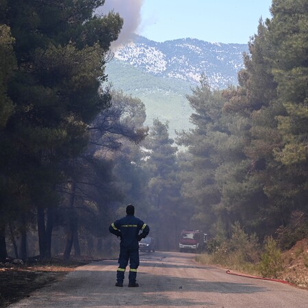 Φωτιά στο Μαυροβούνι Αγίων Θεοδώρων - Σηκώθηκαν τρία εναέρια μέσα