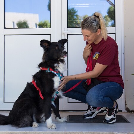 Η Royal Canin Hellas ενώνει τις δυνάμεις της με τη “Save a Greek Stray” και στηρίζει το πρόγραμμα «Ιαματική Ζωοφιλία»