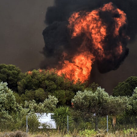 Φωτιές - Θα χρειαστούν ως και 30 χρόνια για να αποκατασταθούν τα οικοσυστήματα, λέει καθηγητής Δασολογίας