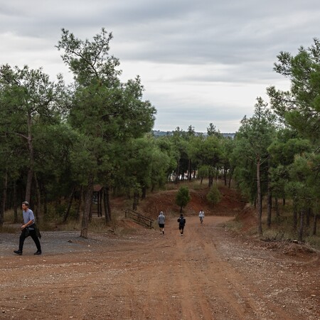 Πάνω από 700 δέντρα θα φυτευτούν στο Σέιχ Σου