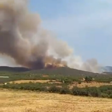 Φωτιά τώρα κοντά στον Πολύγυρο Χαλκιδικής και στα Καλύβια Αττικής