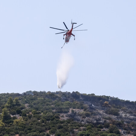 Φωτιές: Τέσσερις προσαγωγές υπόπτων για εμπρησμούς σε Αυλώνα και Μενίδι 