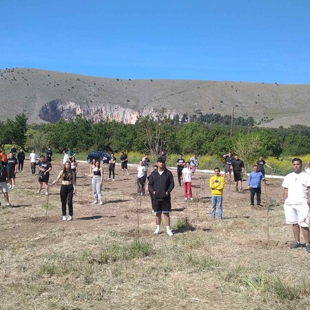 Τέμπη: Μαθητές του Τυρνάβου φύτεψαν 57 δέντρα ένα για κάθε θύμα του δυστυχήματος