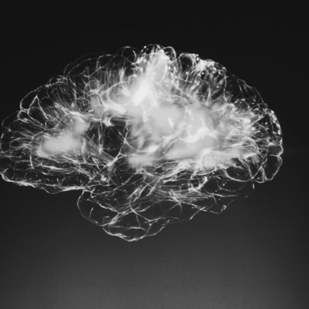 Χάρβαρντ- Google: Η λεπτομερέστερη απεικόνιση του ανθρώπινου εγκεφάλου