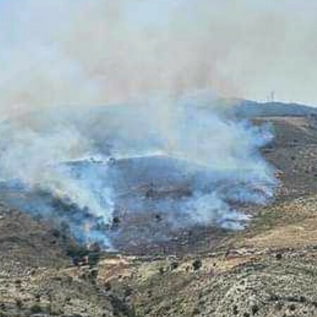 Φωτιά τώρα στην Κεφαλονιά: Καίει βλάστηση στην περιοχή του Μύρτου