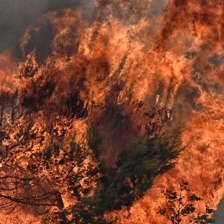 Φωτιά καίει τώρα δάσος στα Σερζιανά Ιωαννίνων