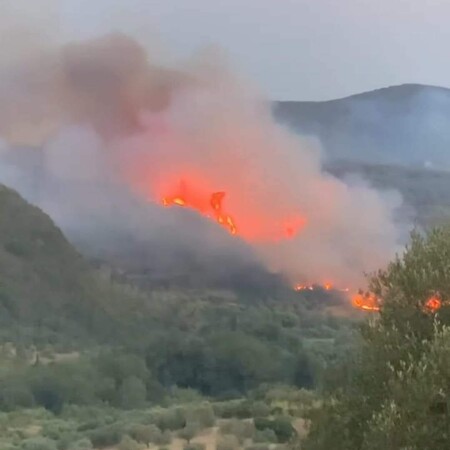 Φωτιά στη Μεταμόρφωση Μεσσηνίας