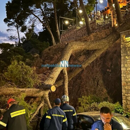 Ναύπακτος: Οικογένεια γλίτωσε για λίγα δευτερόλεπτα απο πεύκο που έπεσε στον δρόμο