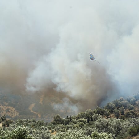 Φωτιές τώρα σε Πέλλα και Θεσπρωτία