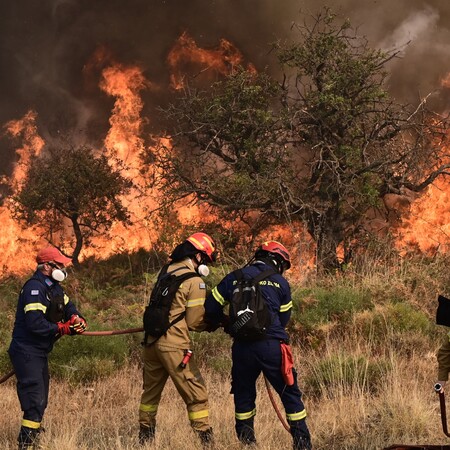 Φωτιά στο Ξυλόκαστρο: Πρόστιμο σε μελισσοκόμο που έκανε εργασίες λίγο πριν εκδηλωθεί η πυρκαγιά