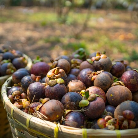 Mangosteen: Tο viral φρούτο του Tik Tok 