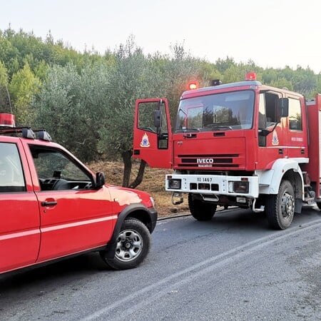 Ζάκυνθος: Φωτιές δύο περιοχές του νησιού