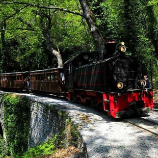 Ξεκίνησε τα δρομολόγια ο «Μουτζούρης», το θρυλικό τρενάκι του Πηλίου