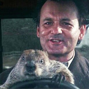 Happy Groundhog Day!