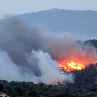 Ισπανία: Εκτός ελέγχου η πυρκαγιά στην Καταλονία - Στάχτη 40.000 στρέμματα με ελιές και αμπέλια