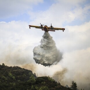 Φωτιά στην Εύβοια: Αίτημα συνδρομής για πυροσβεστικά αεροσκάφη στην ΕΕ - Ποιες χώρες ανταποκρίθηκαν