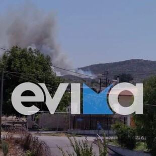 «Συναγερμός» για φωτιά στη Χαλκίδα κοντά σε κατοικημένη περιοχή (εικόνες)