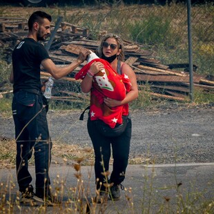 Οι σταθμοί φιλοξενίας που λειτουργούν για τα πυρόπληκτα ζώα 