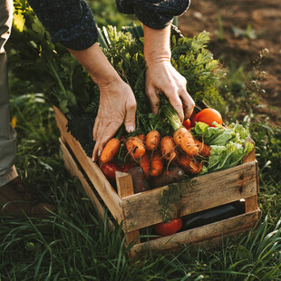 4 αγροκτήματα φέρνουν φρέσκα λαχανικά και φρούτα στην πόρτα μας