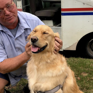 Ένα Golden Retriever περιμένει κάθε ημέρα στην αυλή για να αγκαλιάσει τον ταχυδρόμο