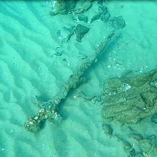 Sharp-eyed diver finds crusader’s ancient sword on Israeli seabed