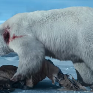 Νικολάι Κόστερ-Βαλντάου: Υπέστη διάσειση παλεύοντας με CGI πολική αρκούδα σε γυρίσματα 