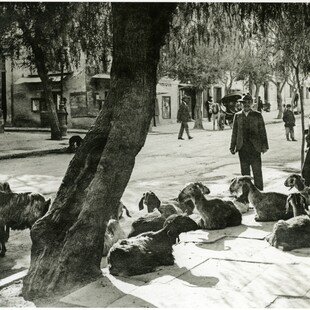 Σπάνιες φωτογραφίες από την Αθήνα των αρχών του 20ού αιώνα 