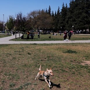 Βελτιωμένος ο καιρός σήμερα- Έως τους 21 βαθμούς το θερμόμετρο