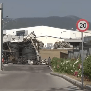 Υπό έλεγχο η φωτιά στα Οινόφυτα - Κάηκε έκταση 800 τ.μ.