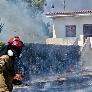 Φωτιές: Εικόνες καταστροφής από το Λαγονήσι - Μαρτυρίες πληγέντων