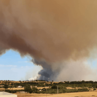 Φωτιά στην Αλεξανδρούπολη: Εκκένωση άλλων 4 οικισμών- Νέο μήνυμα του 112