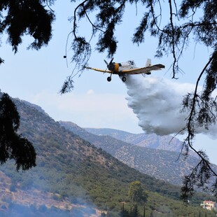 Φωτιά στη Φθιώτιδα- Δύσκολη η πρόσβαση για τις επίγειες δυνάμεις