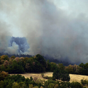 Φωτιά στον Έβρο: Σε ποια σημεία έχει επικεντρωθεί η μάχη με τις φλόγες- 582 πυροσβέστες στα μέτωπα