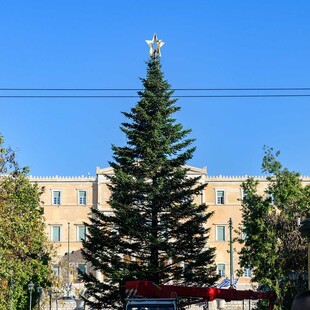 Δήμος Αθηναίων: Πότε ανάβει το χριστουγεννιάτικο δέντρο στο Σύνταγμα