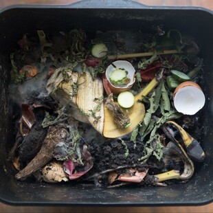 ΟΗΕ για food waste: Ένα δισεκατομμύριο γεύματα στα σκουπίδια, κάθε μέρα