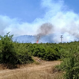 Μεγάλη φωτιά στο Κρανίδι – Καίγονται σπίτια